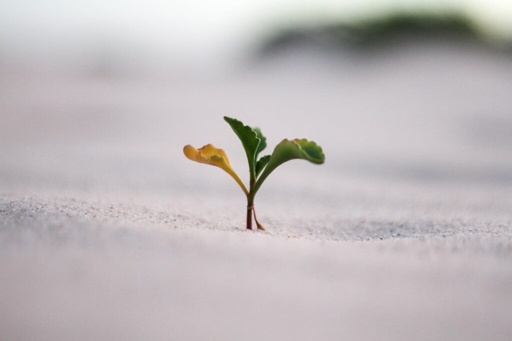 spire der symboliserer personlig udvikling og coaching